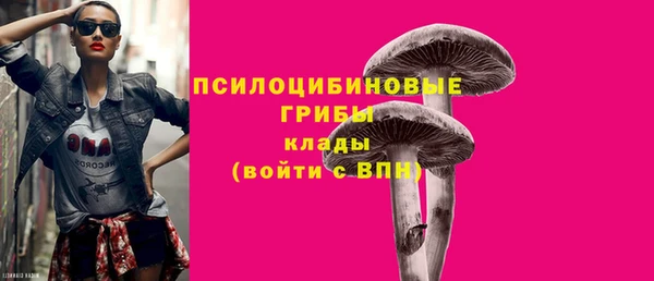 соль ск Липки